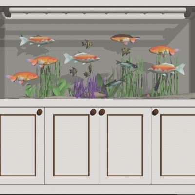 现代浴缸水族箱鱼珊瑚石头水草小鱼金鱼