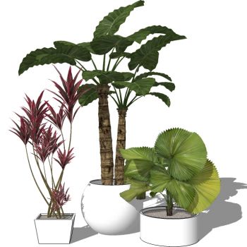 现代植物盆栽花钵花盆花槽