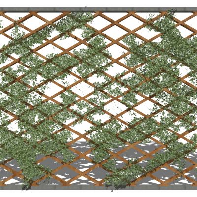 现代篱笆墙爬山虎藤蔓植物栅栏