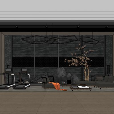 新中式家庭健身房