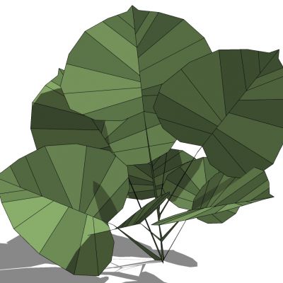 室外园林景观SU模型