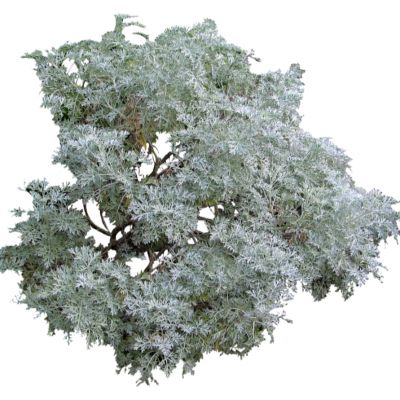 室外园林景观SU模型