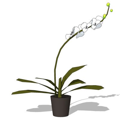 室外园林景观盆景盆栽盆栽