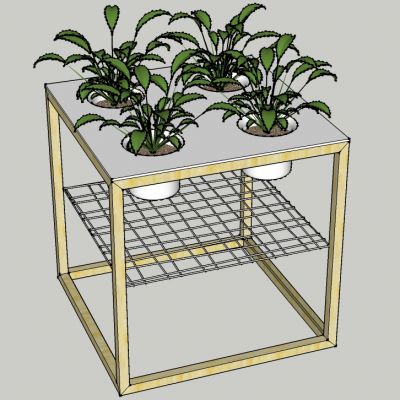 盆栽植物绿植花盆