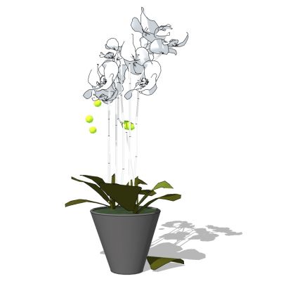 室外园林景观盆景盆栽盆栽