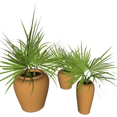 室外园林景观盆景盆栽盆栽