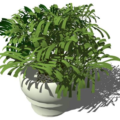 室外园林景观盆景盆栽盆栽