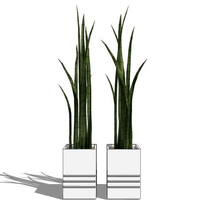 室外园林景观盆景盆栽盆栽