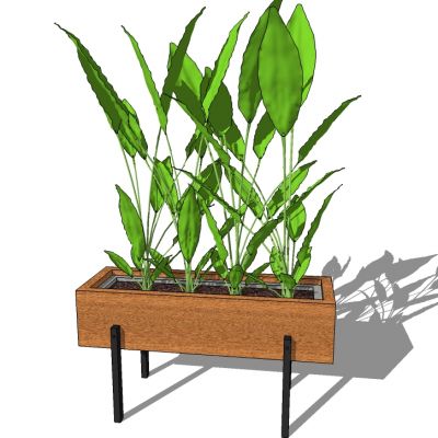 盆栽植物绿植花盆花槽