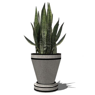 室外园林景观盆景盆栽盆栽