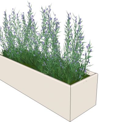 盆栽植物绿植花槽