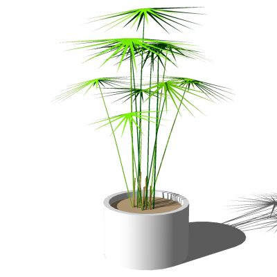 室外园林景观盆景盆栽盆栽