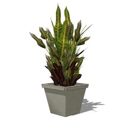 室外园林景观盆景盆栽盆栽