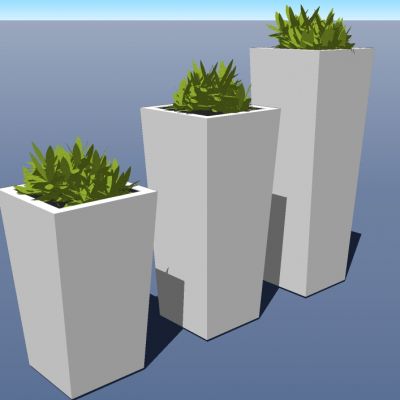 盆栽植物绿植花盆