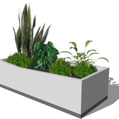 盆栽植物绿植花盆花槽