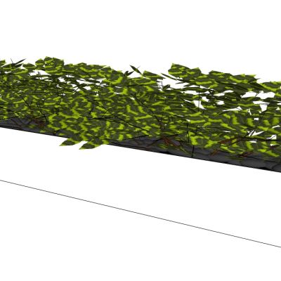 盆栽植物绿植花槽