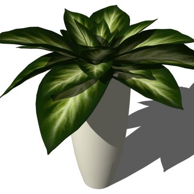 室外园林景观盆景盆栽盆栽