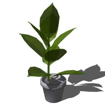 室外园林景观盆景盆栽盆栽