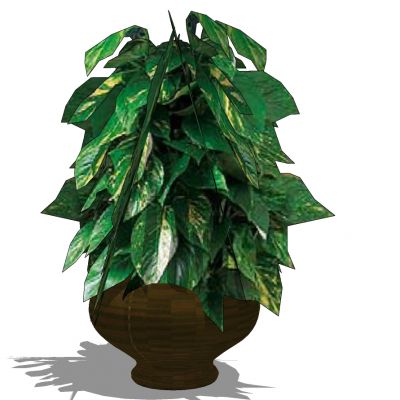 室外园林景观盆景盆栽盆栽