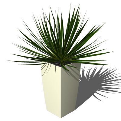 室外园林景观盆景盆栽盆栽