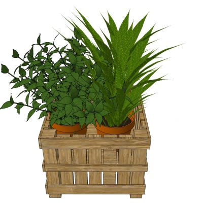 室外园林景观盆景盆栽盆栽