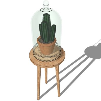 盆栽植物绿植花盆