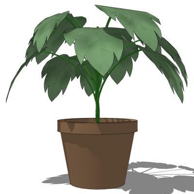 室外园林景观盆景盆栽盆栽