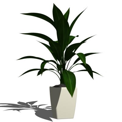 室外园林景观盆景盆栽盆栽