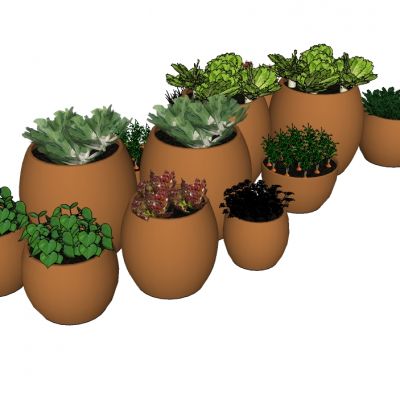 盆栽植物绿植花盆陶罐