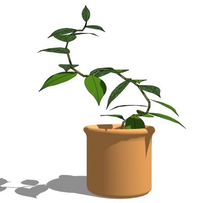 室外园林景观盆景盆栽盆栽