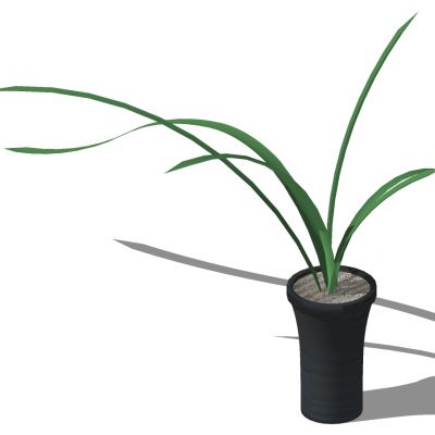 室外园林景观盆景盆栽盆栽