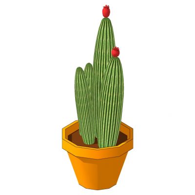 室外园林景观盆景盆栽盆栽