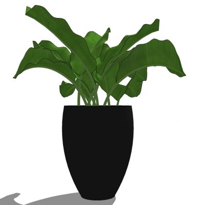 室外园林景观盆景盆栽盆栽