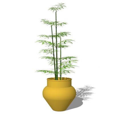 室外园林景观盆景盆栽盆栽