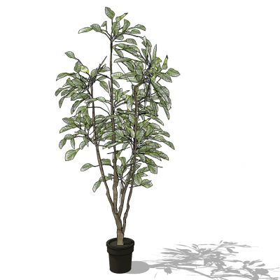 室外园林景观盆景盆栽盆栽