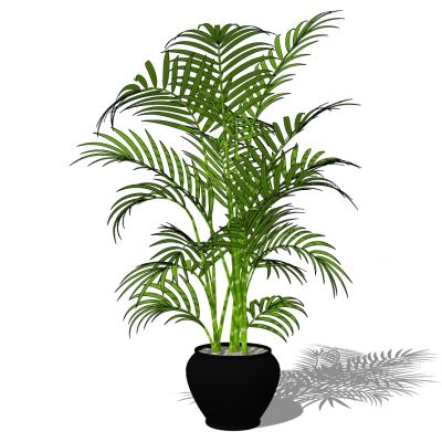 室外园林景观盆景盆栽盆栽