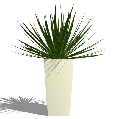 室外园林景观盆景盆栽盆栽