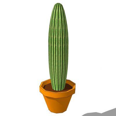 室外园林景观盆景盆栽盆栽