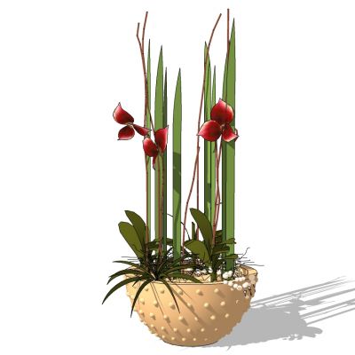 室外园林景观盆景盆栽盆栽