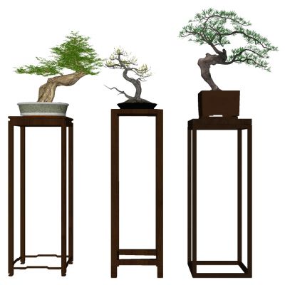 新中式盆景植物花架摆台