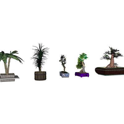 盆栽植物绿植花盆