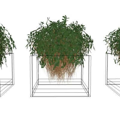 盆栽植物绿植花架