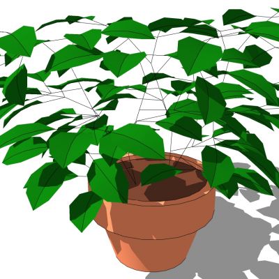 室外园林景观盆景盆栽盆栽