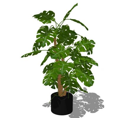 室外园林景观盆景盆栽盆栽