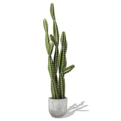 室外园林景观盆景盆栽盆栽