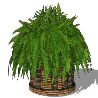 室外园林景观盆景盆栽盆栽