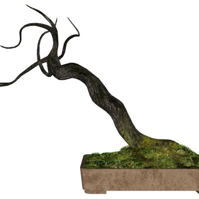 新中式盆景植物花架摆台