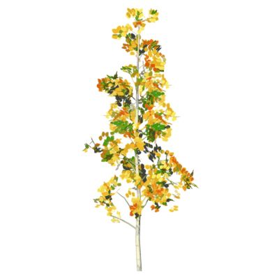 室外园林景观植物景观树