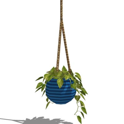 吊挂植物吊篮花艺