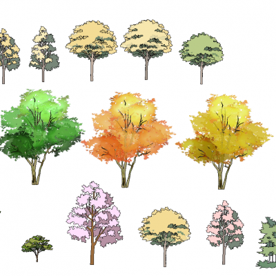 景观手绘风格植物树